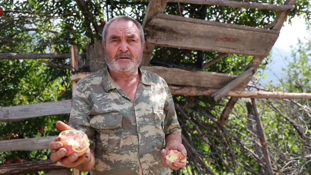 Adana'nın Tescilli Kuytucak Narında Rekolteyi Don Vurdu! Fiyatlar Uçtu 8